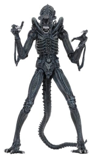 Aliens Ultimate figurine Warrior (1986) Blue 23 cm