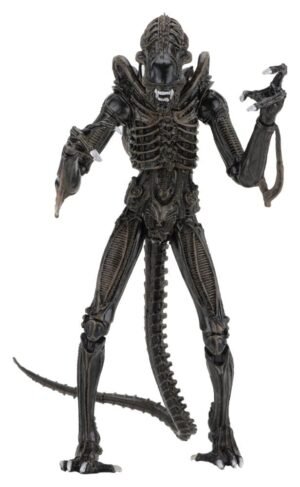 Aliens Ultimate figurine Warrior (1986) Brown 23 cm
